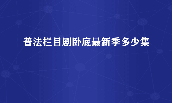 普法栏目剧卧底最新季多少集
