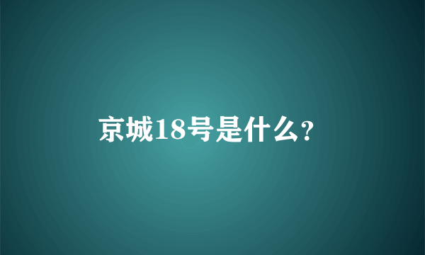 京城18号是什么？