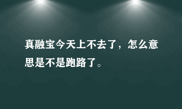 真融宝今天上不去了，怎么意思是不是跑路了。