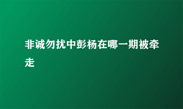 非诚勿扰中彭杨在哪一期被牵走