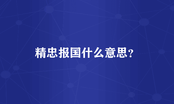 精忠报国什么意思？