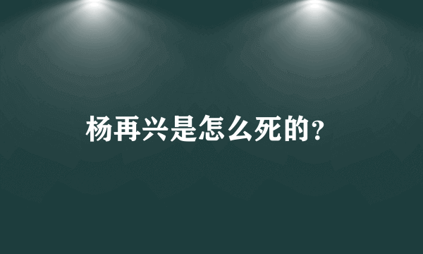 杨再兴是怎么死的？