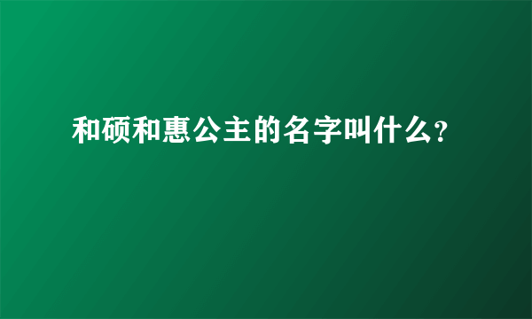 和硕和惠公主的名字叫什么？