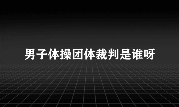 男子体操团体裁判是谁呀