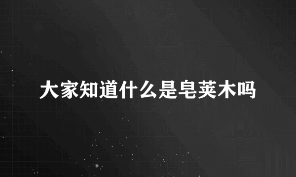 大家知道什么是皂荚木吗