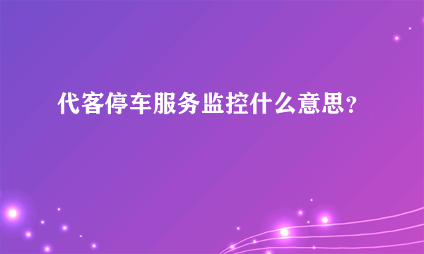 代客停车服务监控什么意思？