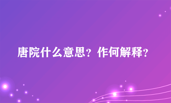 唐院什么意思？作何解释？