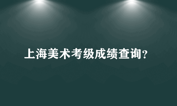 上海美术考级成绩查询？