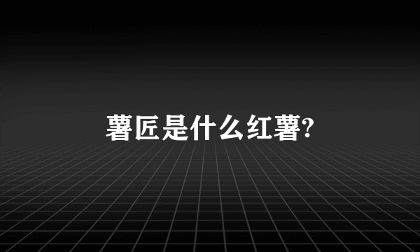 薯匠是什么红薯?