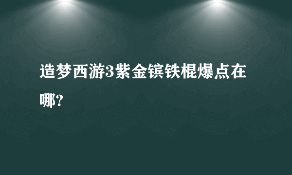 造梦西游3紫金镔铁棍爆点在哪?