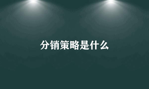 分销策略是什么