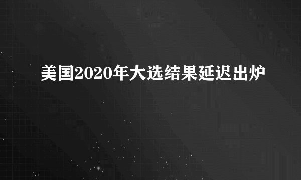 美国2020年大选结果延迟出炉