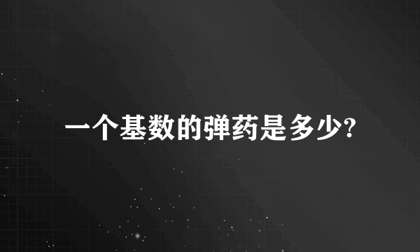 一个基数的弹药是多少?