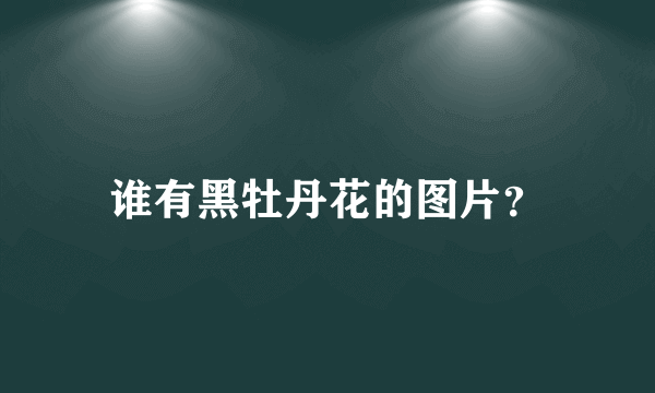 谁有黑牡丹花的图片？