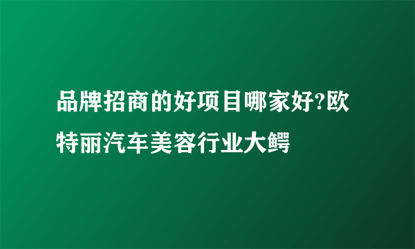 品牌招商的好项目哪家好?欧特丽汽车美容行业大鳄