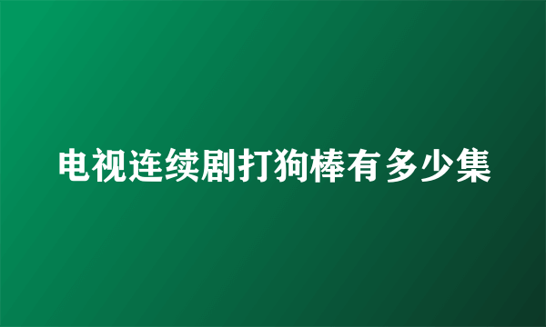 电视连续剧打狗棒有多少集