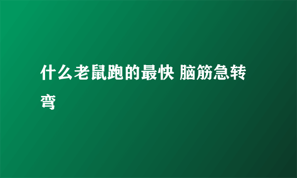 什么老鼠跑的最快 脑筋急转弯