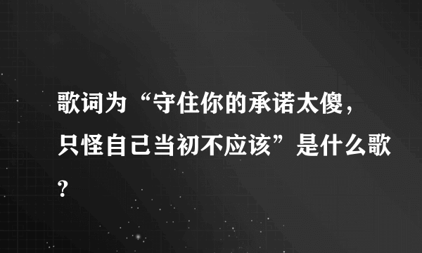 歌词为“守住你的承诺太傻，只怪自己当初不应该”是什么歌？