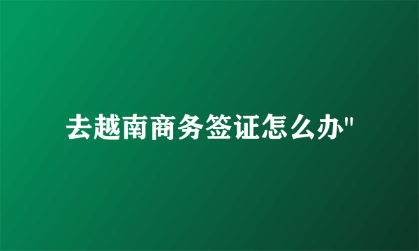 去越南商务签证怎么办