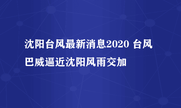 沈阳台风最新消息2020 台风巴威逼近沈阳风雨交加
