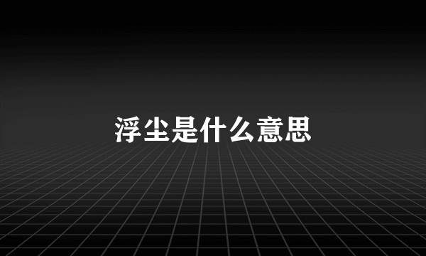 浮尘是什么意思