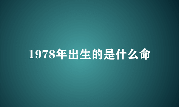 1978年出生的是什么命