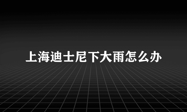 上海迪士尼下大雨怎么办
