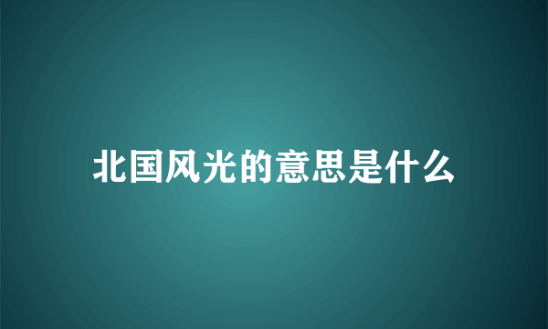 北国风光的意思是什么