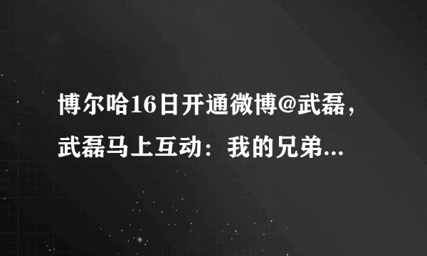博尔哈16日开通微博@武磊，武磊马上互动：我的兄弟，明天再进一个。你怎么看？