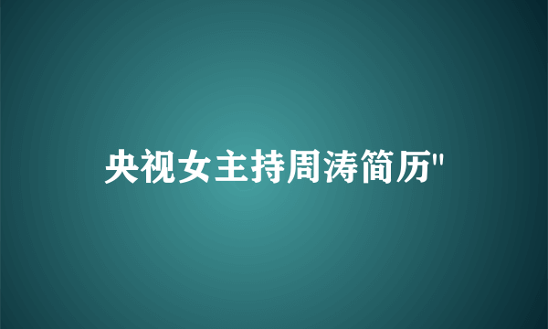 央视女主持周涛简历