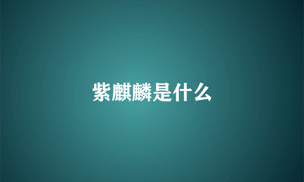 紫麒麟是什么