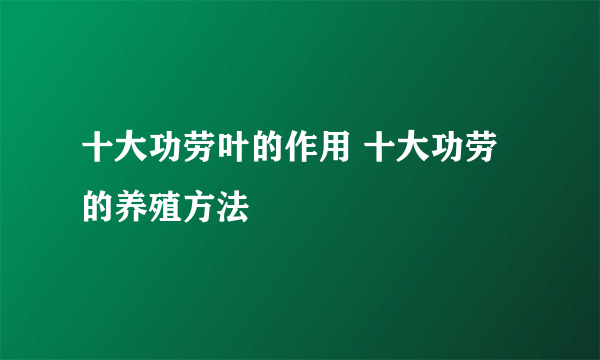 十大功劳叶的作用 十大功劳的养殖方法