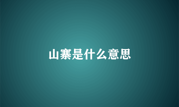 山寨是什么意思
