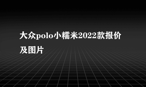 大众polo小糯米2022款报价及图片