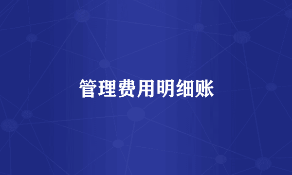 管理费用明细账