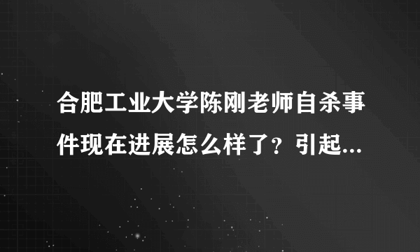 合肥工业大学陈刚老师自杀事件现在进展怎么样了？引起相关部门的重视了吗？