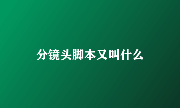 分镜头脚本又叫什么