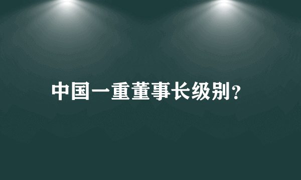中国一重董事长级别？