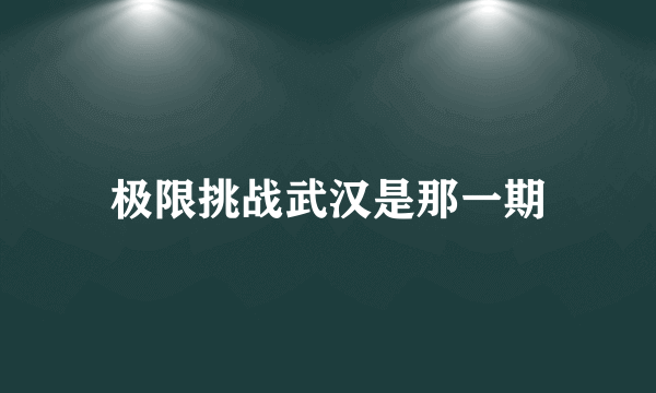 极限挑战武汉是那一期