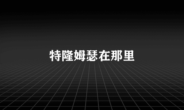 特隆姆瑟在那里