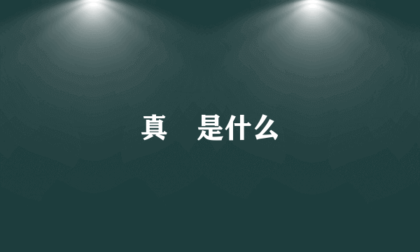 真榊是什么