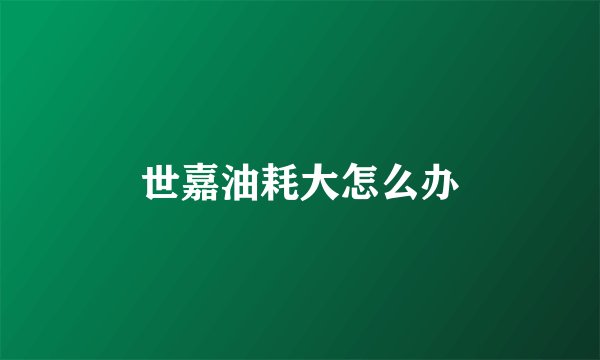 世嘉油耗大怎么办