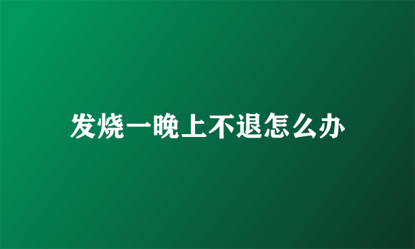 发烧一晚上不退怎么办