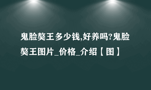 鬼脸獒王多少钱,好养吗?鬼脸獒王图片_价格_介绍【图】