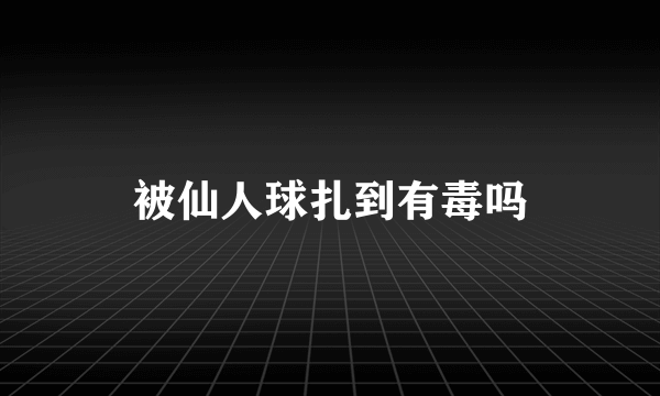 被仙人球扎到有毒吗