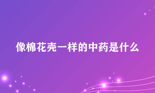 像棉花壳一样的中药是什么
