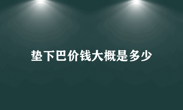 垫下巴价钱大概是多少