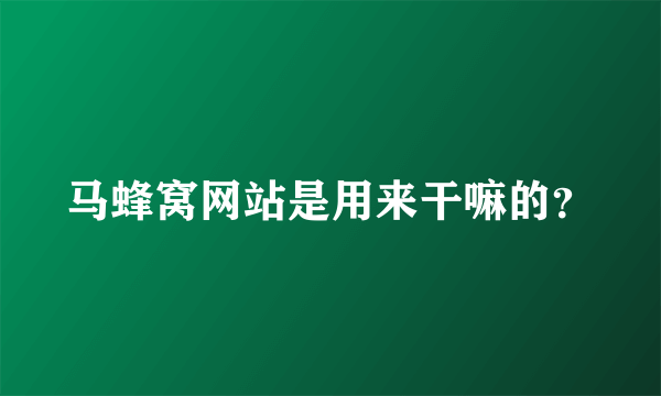 马蜂窝网站是用来干嘛的？