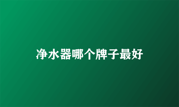 净水器哪个牌子最好