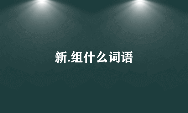 新.组什么词语